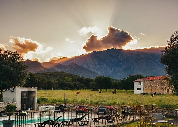 B&B A Chjusellina